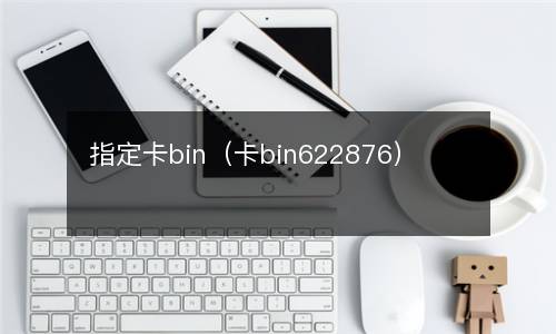 指定卡bin（卡bin622876）